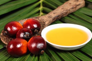 african-palm-oil.jpg