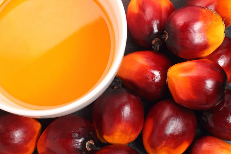 red-african-palm-oil.jpg